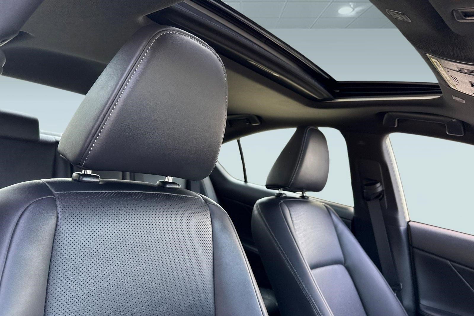 New 2026 Lexus IS 350 F Sport RWD image 14