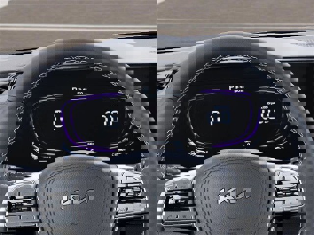 New 2025 Kia Telluride EX image 21