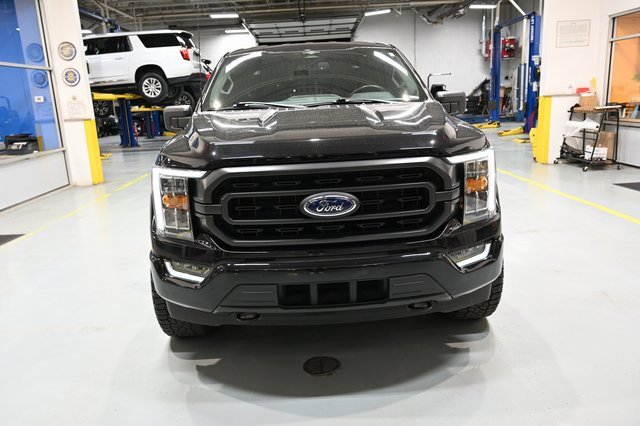 Used 2023 Ford F150 XLT w/ Equipment Group 302A High image 2