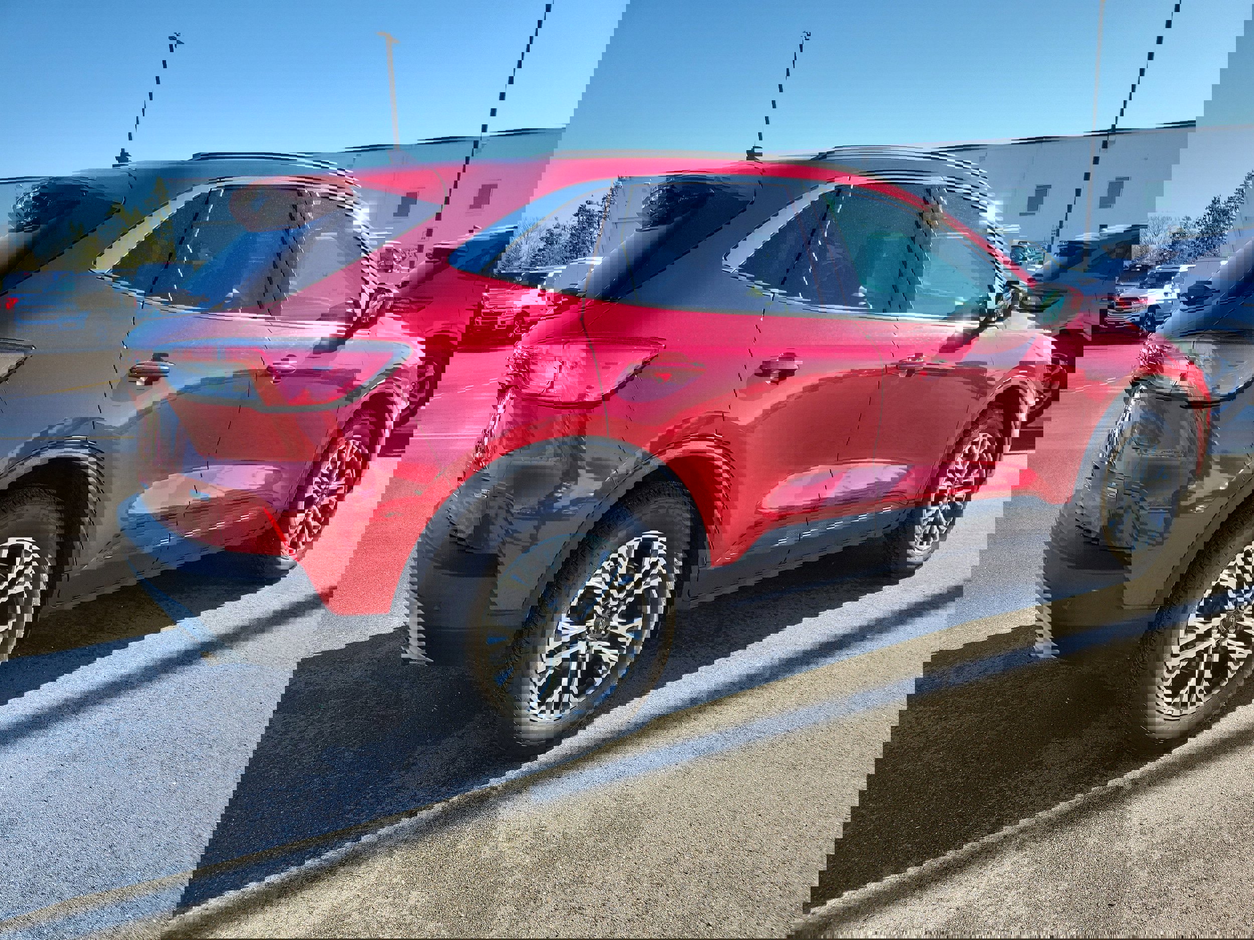 Certified 2020 Ford Escape SEL image 4
