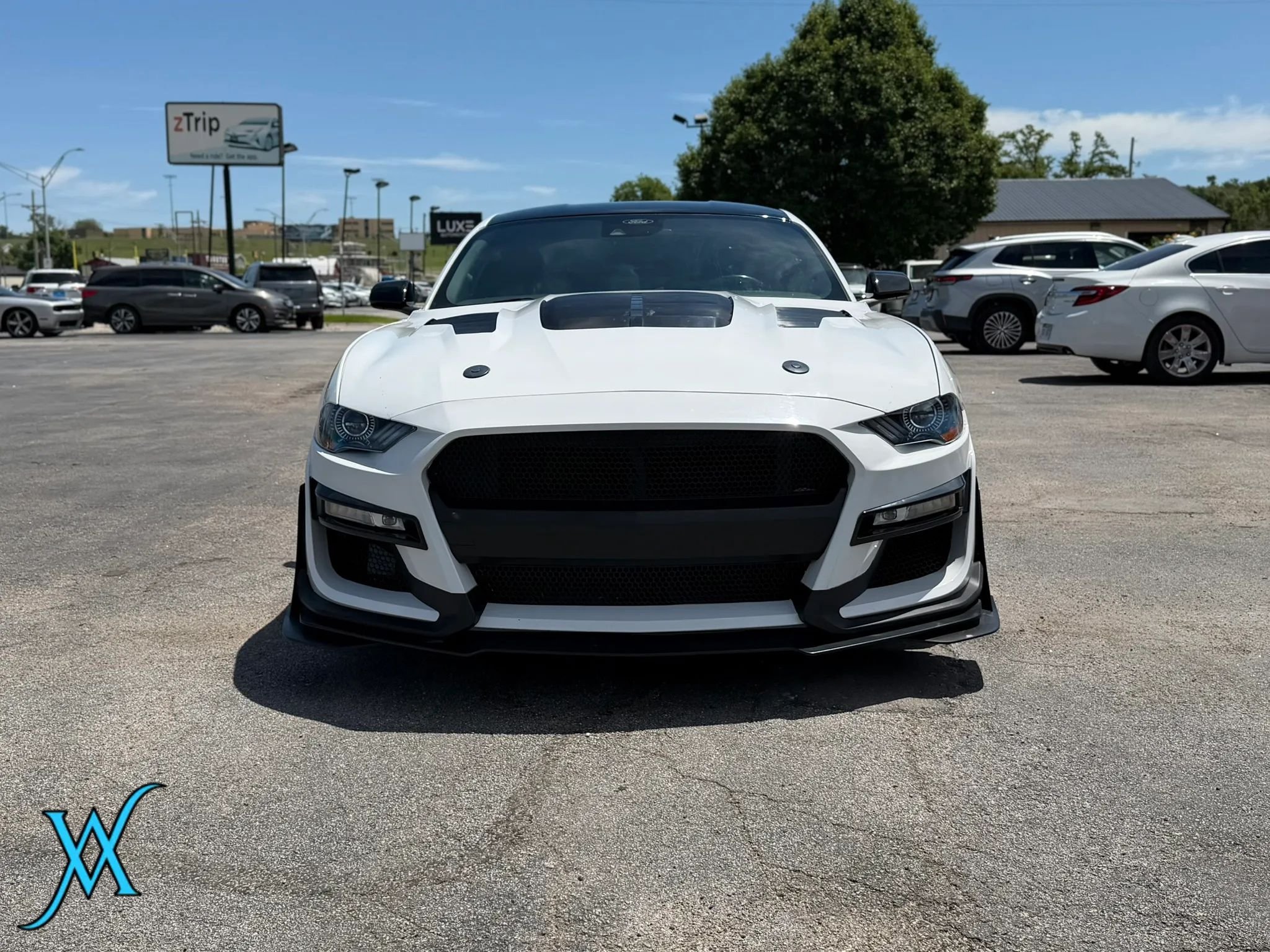 Used 2022 Ford Mustang GT w/ Equipment Group 301A RWD image 2