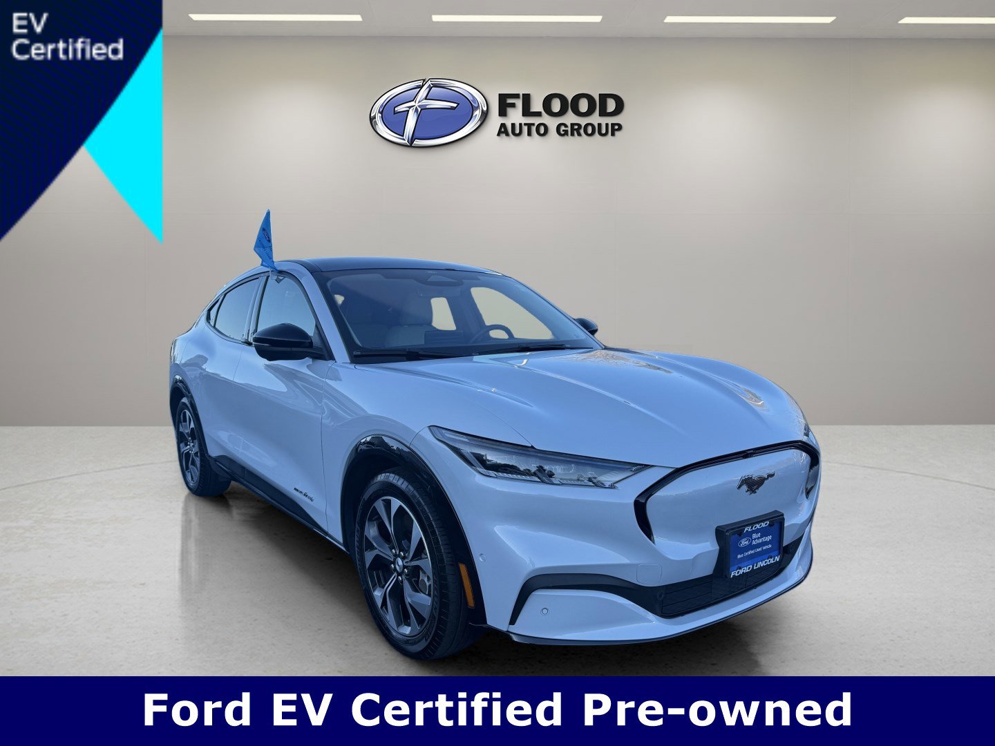 Used 2021 Ford Mustang Mach-E Premium image 1