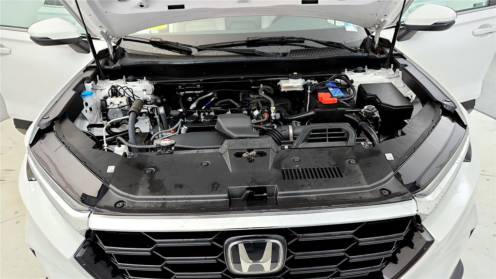 Used 2024 Honda CR-V EX-L image 15