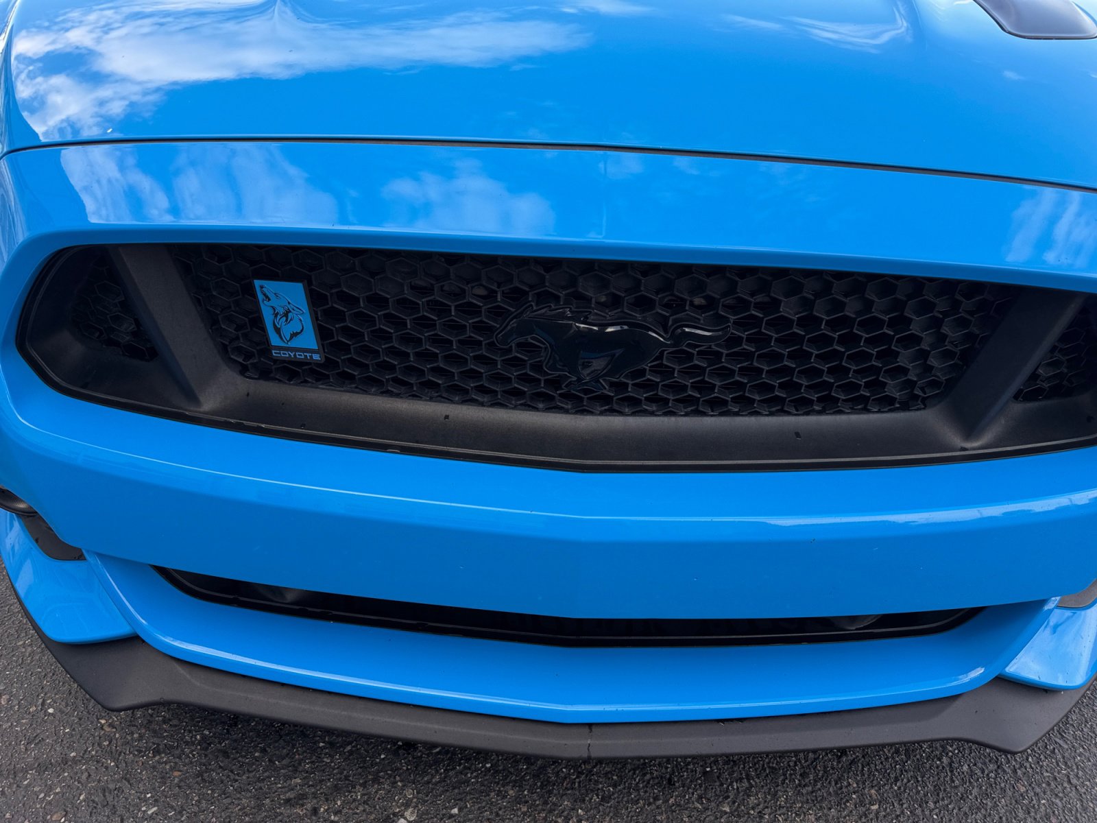 Used 2017 Ford Mustang GT Premium w/ Equipment Group 401A image 23