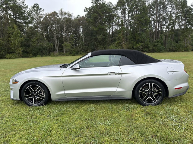 Used 2019 Ford Mustang Premium RWD image 12