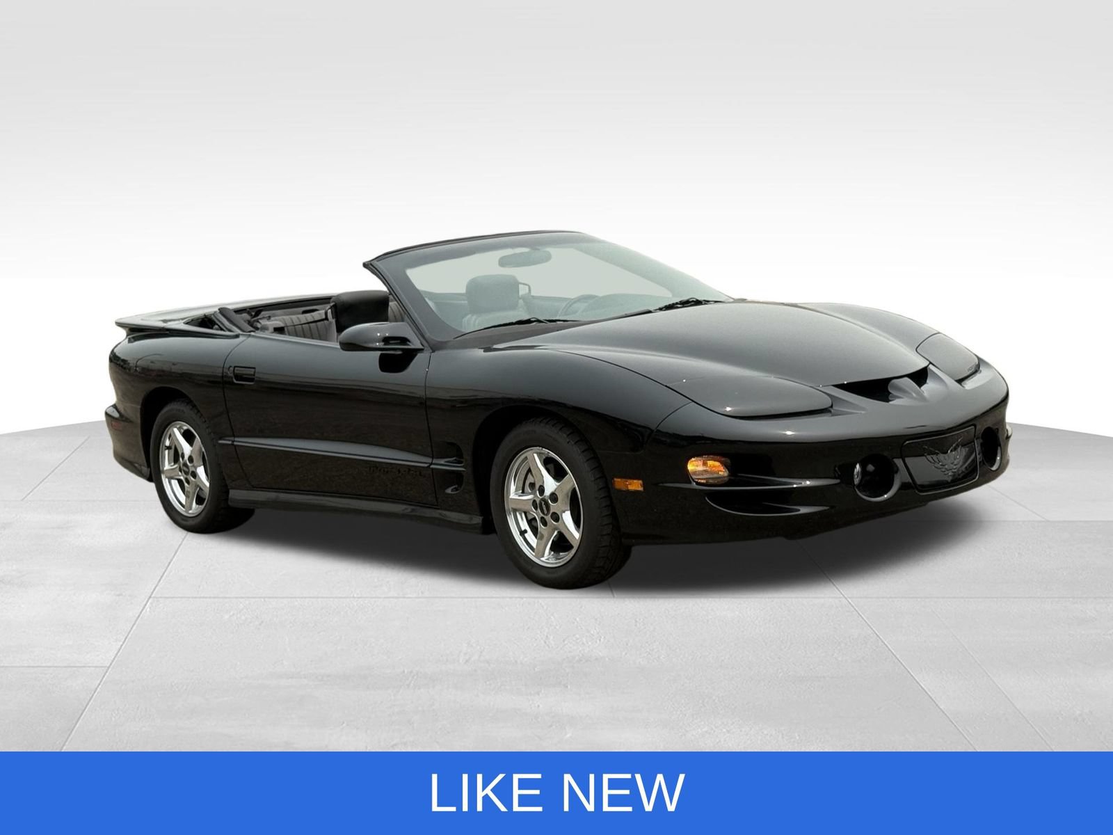 Used 2002 Pontiac Firebird Trans Am RWD image 11