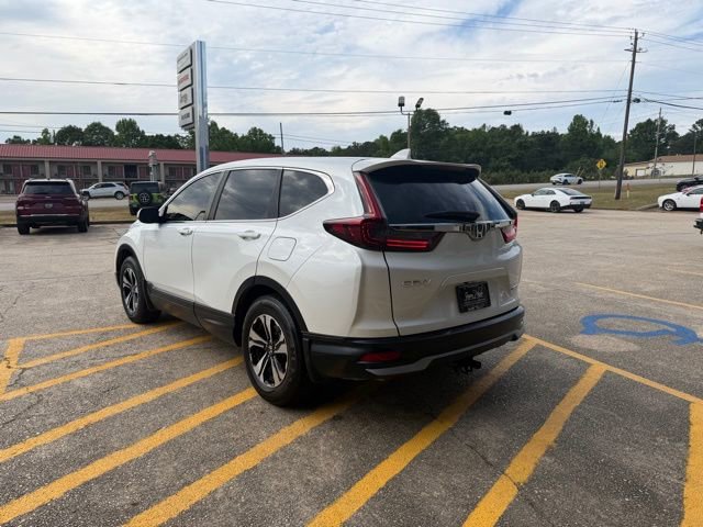 Used 2022 Honda CR-V Special Edition image 6