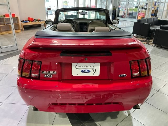 Used 1999 Ford Mustang Cobra RWD image 5