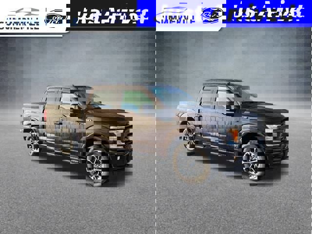 Used 2019 Ford F150 XLT w/ Equipment Group 302A Luxury image 1