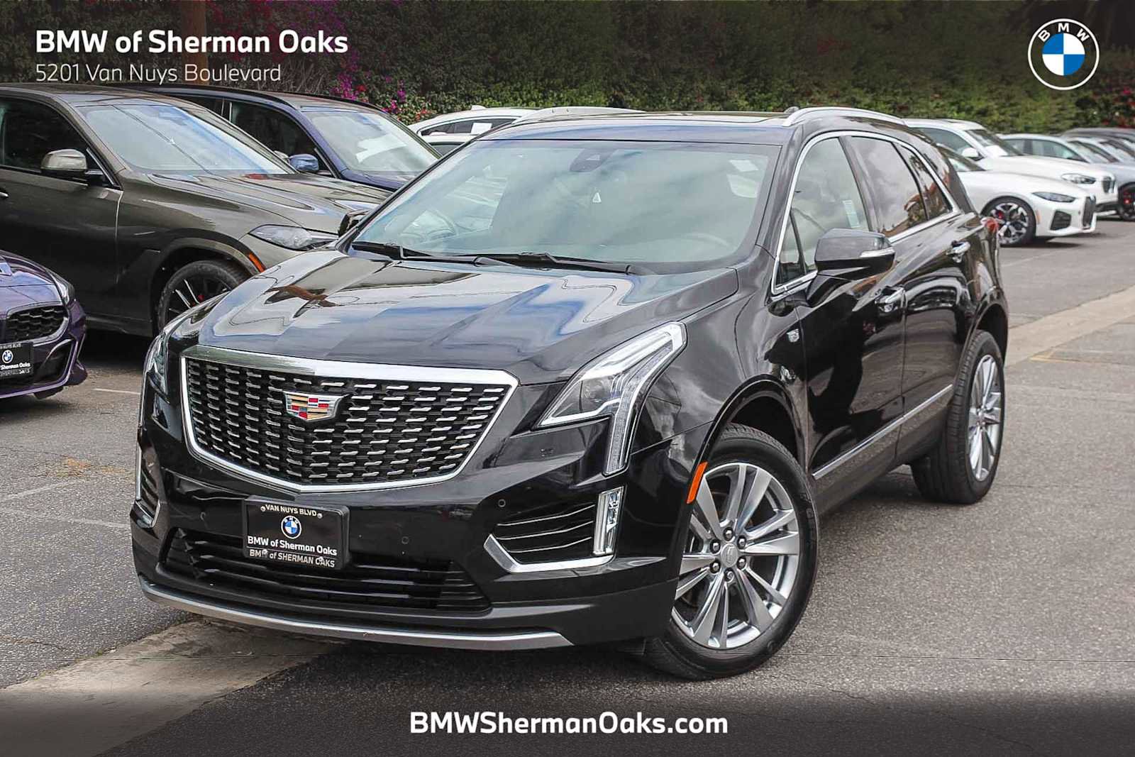 Used 2024 Cadillac XT5 Premium Luxury FWD image 1