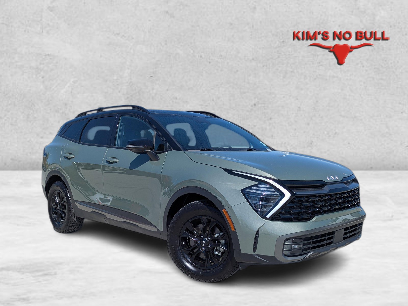 Used 2024 Kia Sportage X-Pro image 1