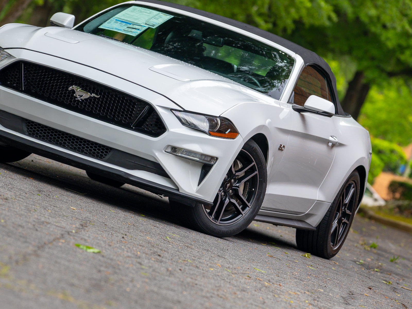 Used 2019 Ford Mustang GT Premium w/ Equipment Group 401A RWD image 24