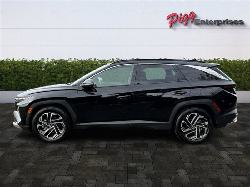 Used 2025 Hyundai Tucson Limited image 3