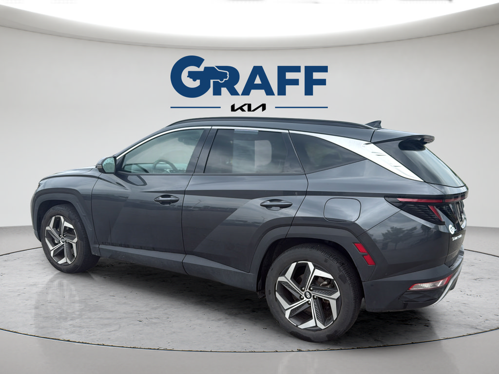 Used 2024 Hyundai Tucson Limited FWD image 4