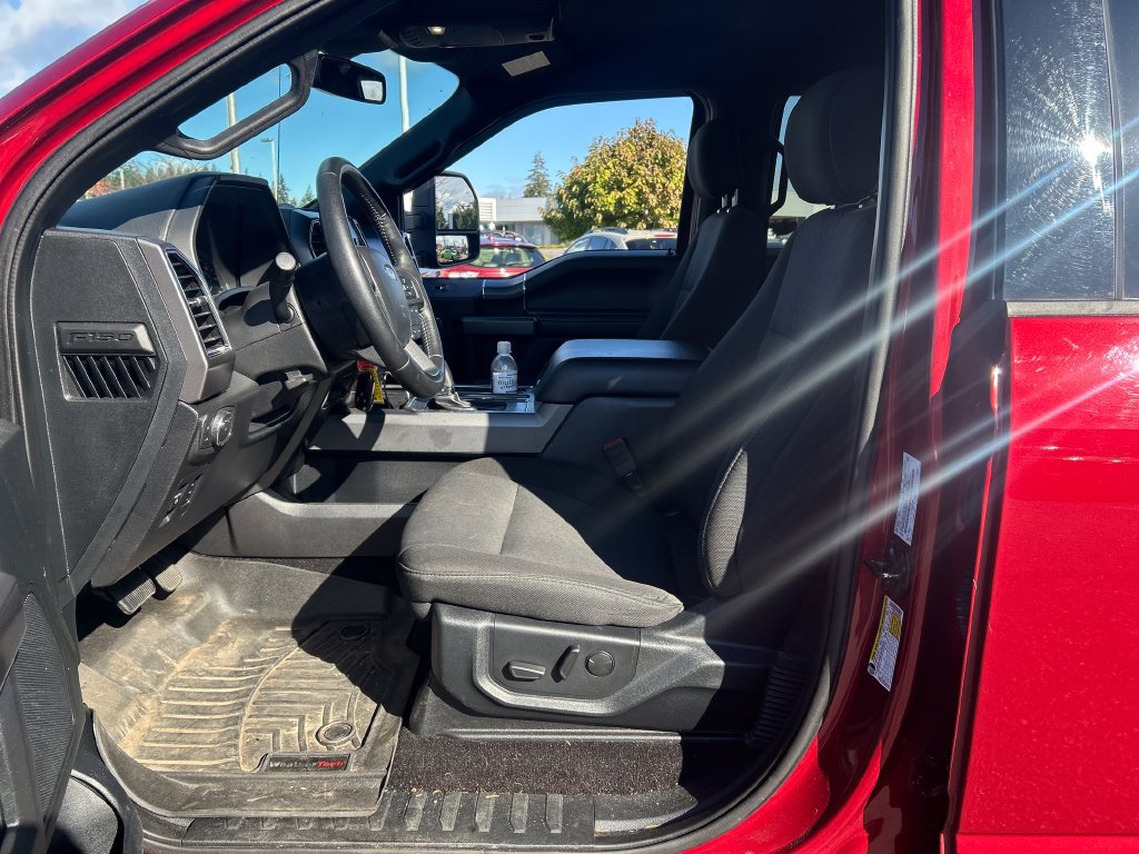 Used 2019 Ford F150 XLT w/ Equipment Group 302A Luxury AWD/4WD image 5