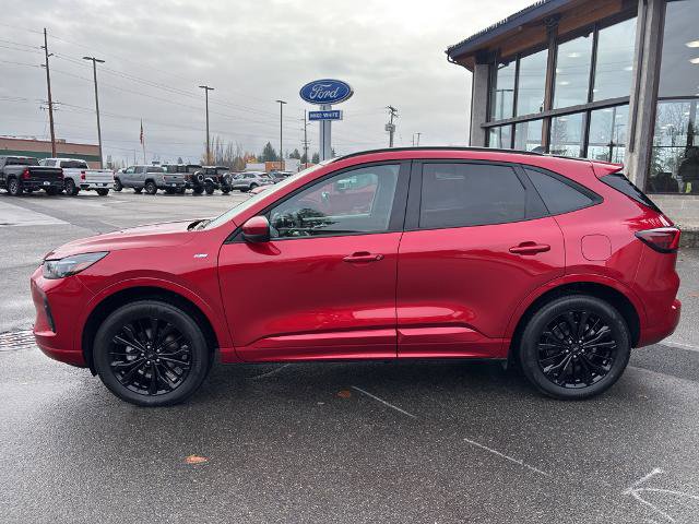 Certified 2025 Ford Escape ST-Line Elite w/ Class II Trailer Tow Package image 4