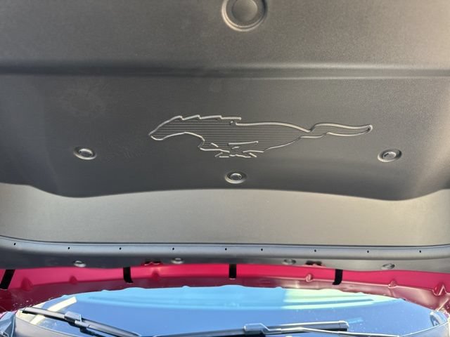 New 2025 Ford Mustang Mach-E Premium AWD/4WD image 13