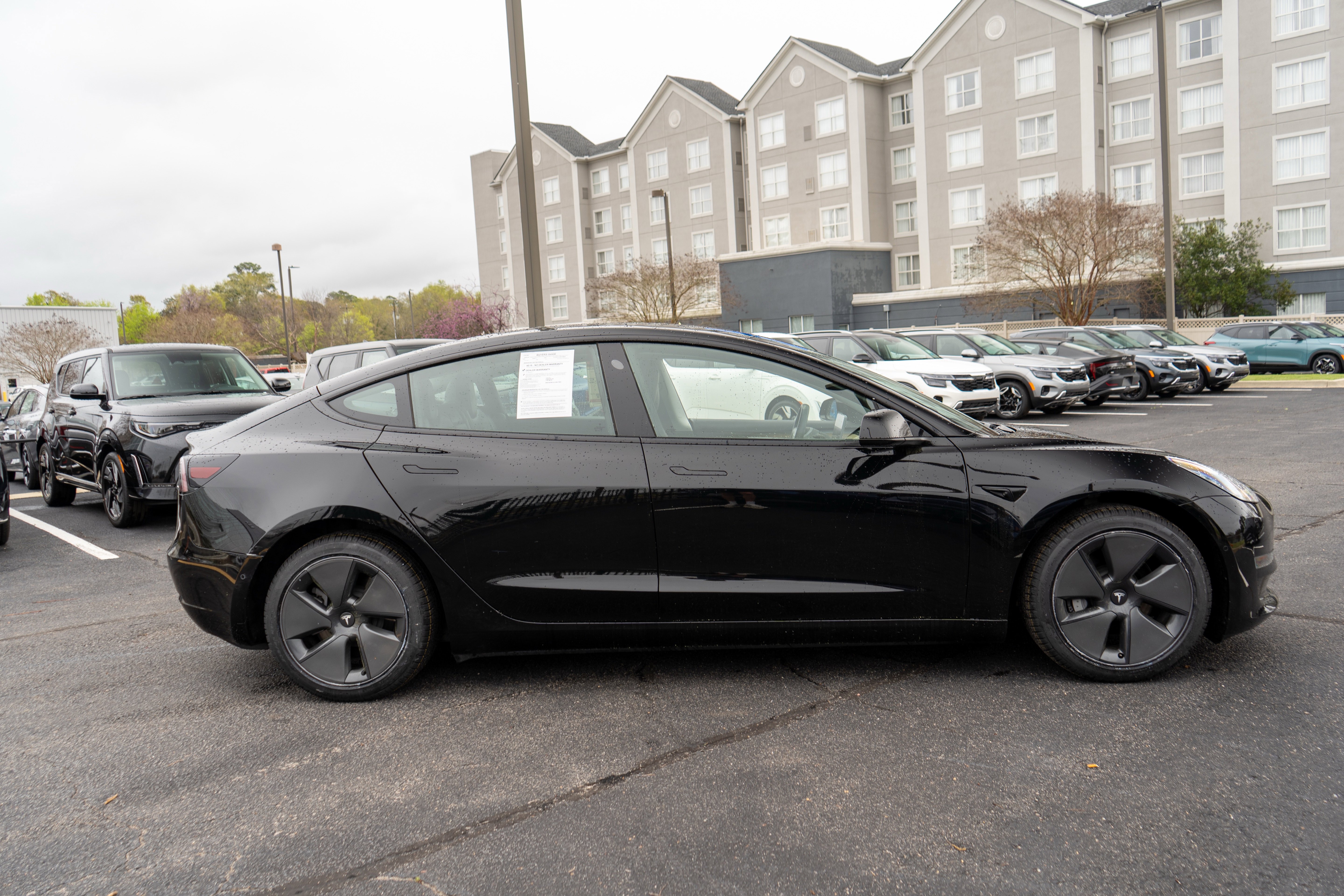 Used 2021 Tesla Model 3 Standard Range Plus image 10