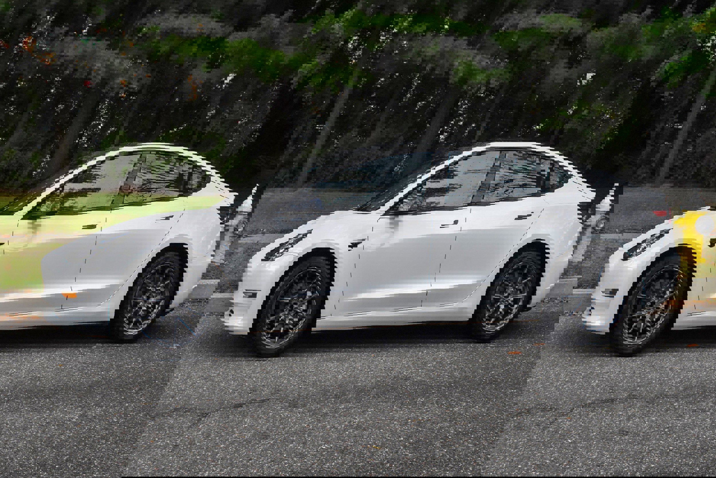 Used 2023 Tesla Model 3 Standard Range image 3