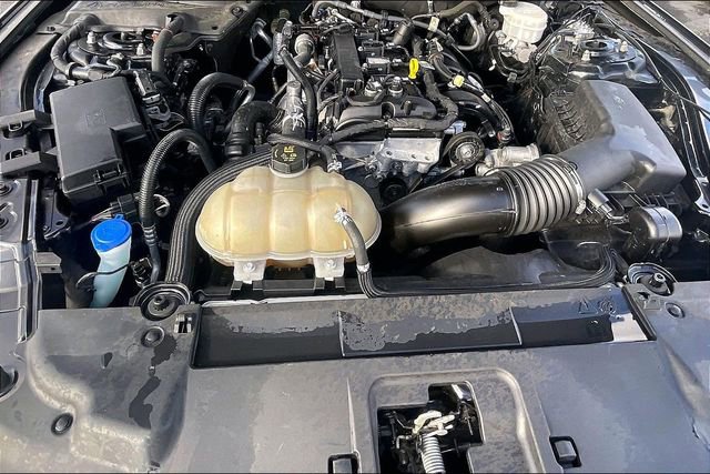 Certified 2023 Ford Mustang EcoBoost w/ Mustang Nite Pony Package image 10