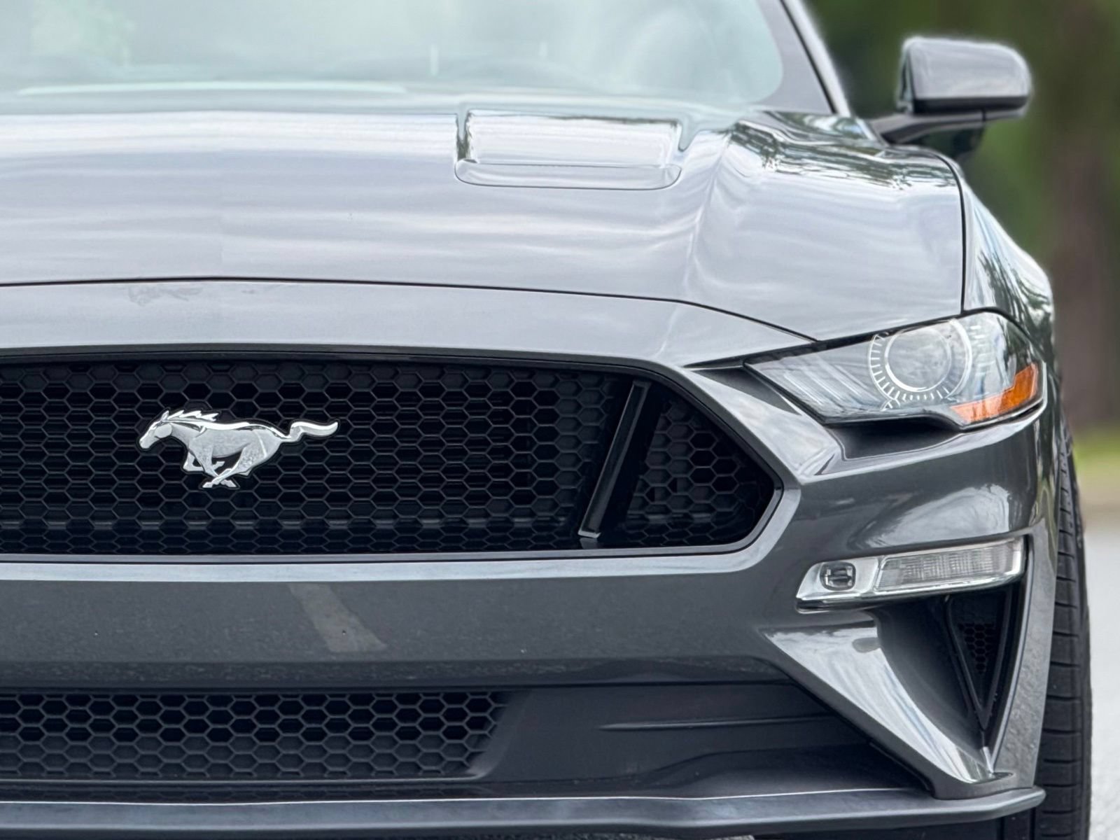 Used 2019 Ford Mustang GT RWD image 15