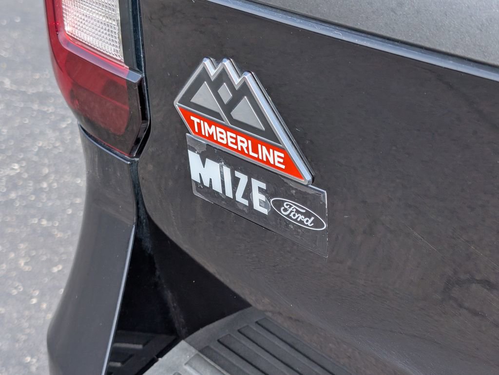 Used 2022 Ford Expedition Timberline image 24