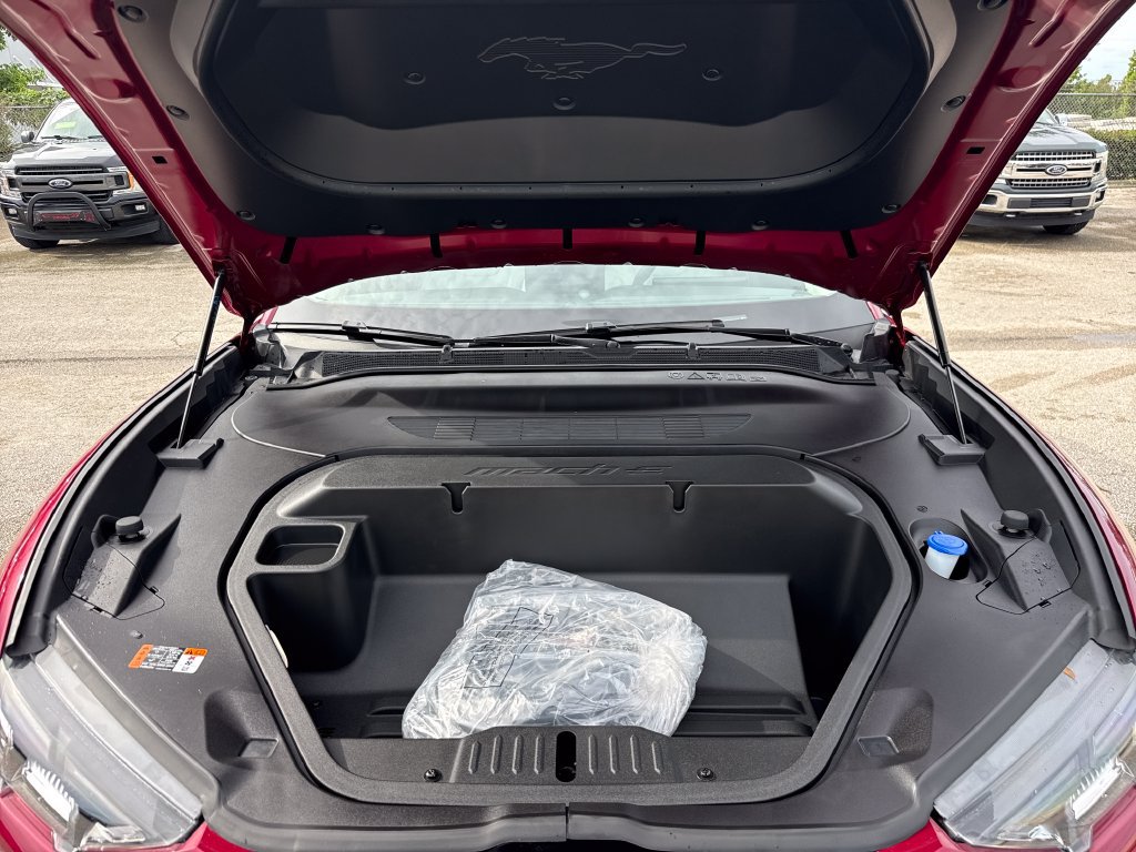 Used 2025 Ford Mustang Mach-E Premium RWD image 33