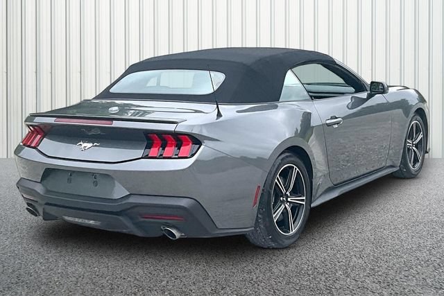 Used 2025 Ford Mustang Premium RWD image 12