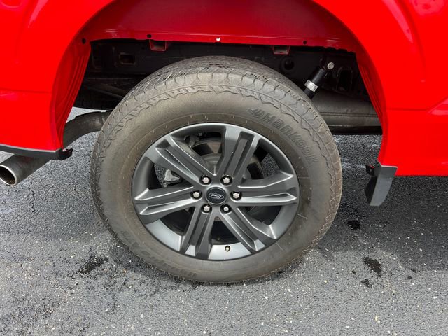 Used 2023 Ford F150 XLT w/ Equipment Group 302A High AWD/4WD image 10