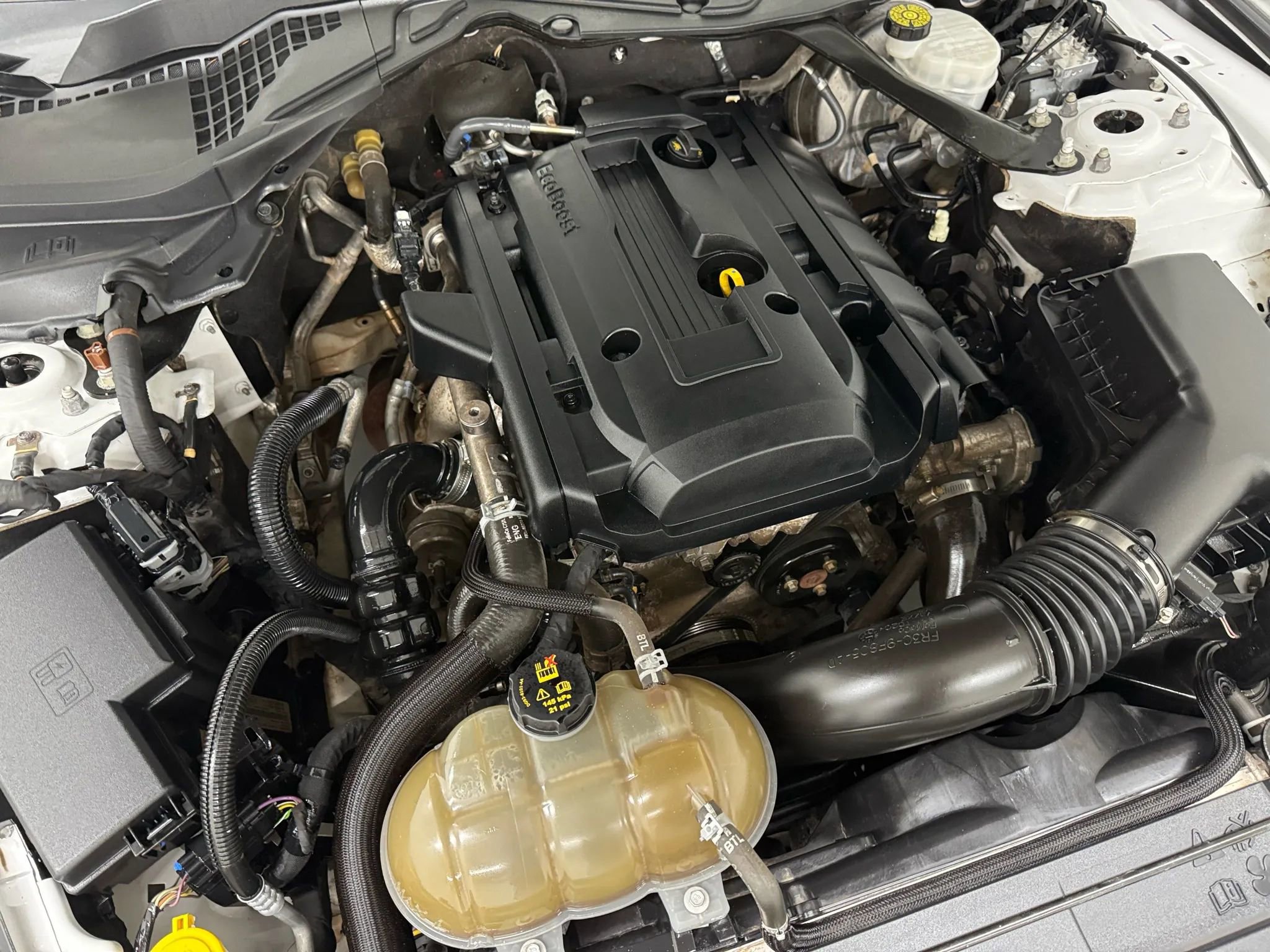 Used 2019 Ford Mustang Premium image 43