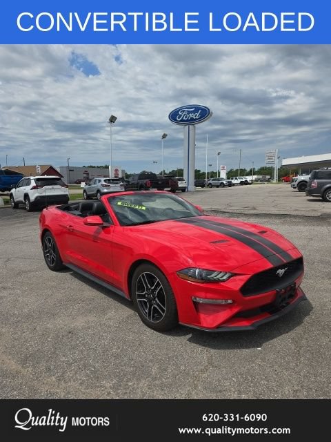Used 2018 Ford Mustang Premium w/ Equipment Group 201A RWD image 1