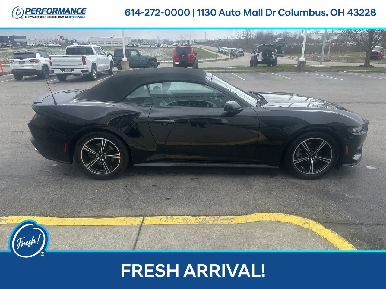Used 2024 Ford Mustang Premium image 3