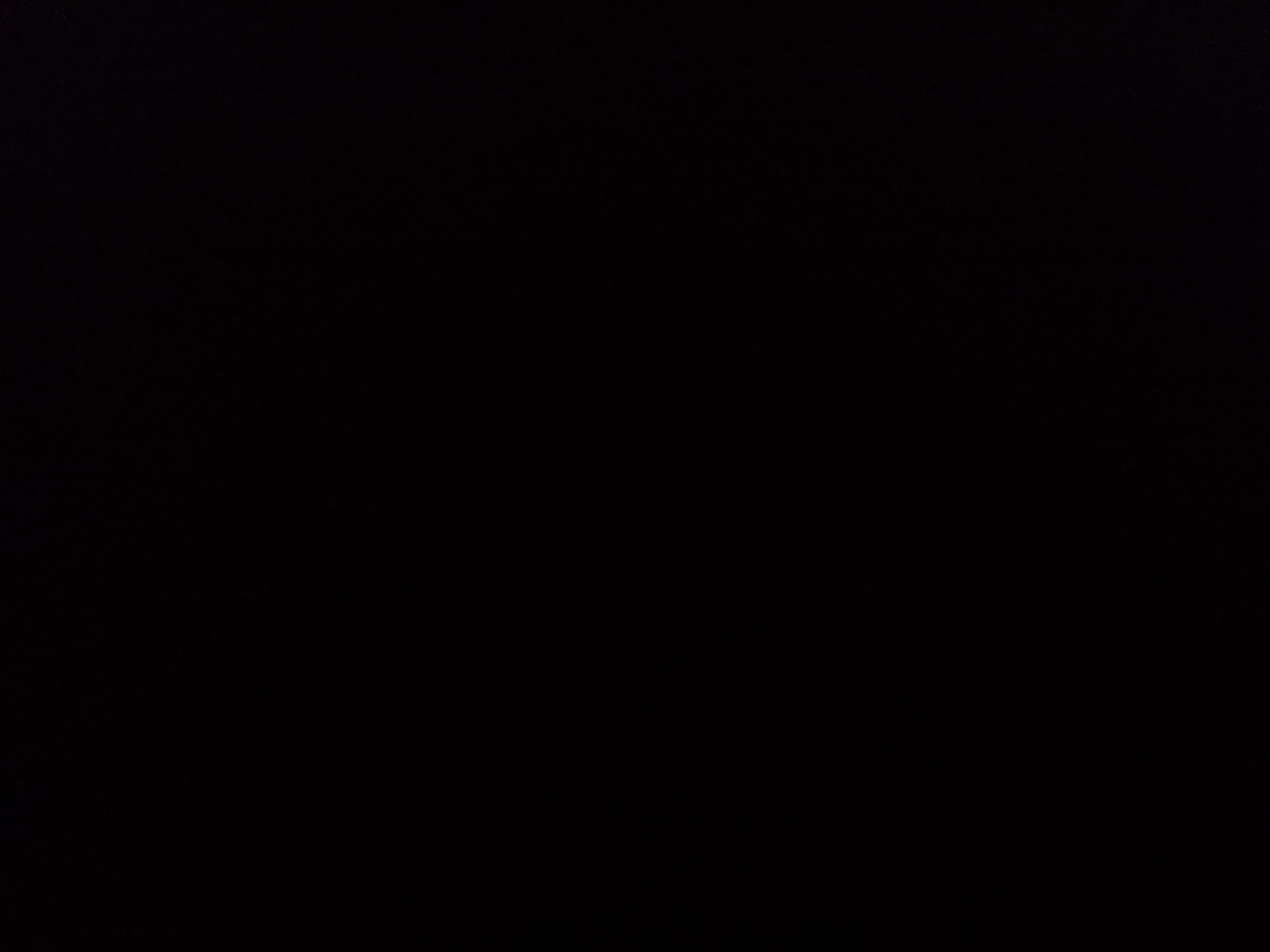 Used 2024 Ford Mustang Premium image 30