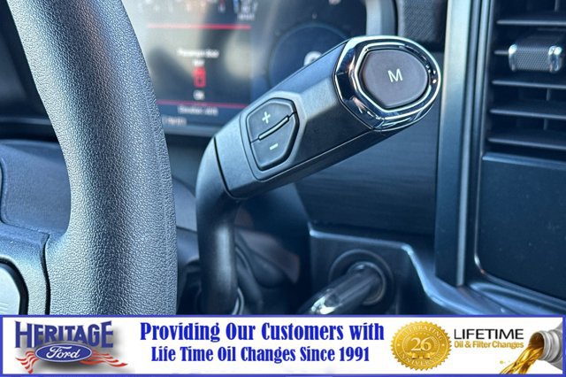 New 2025 Ford F150 STX w/ STX Black Appearance Package image 20