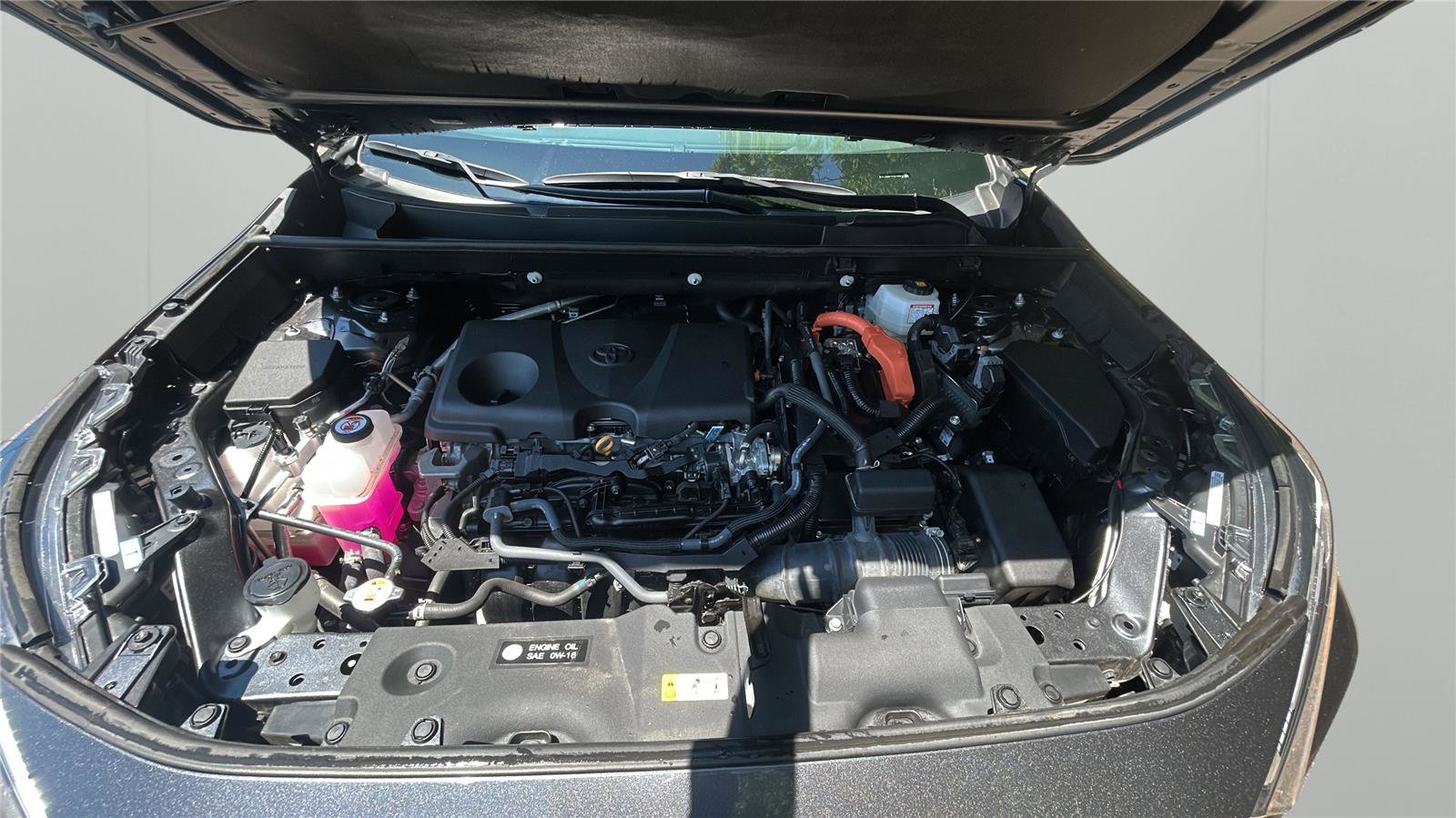 Used 2025 Toyota RAV4 XLE AWD/4WD image 9