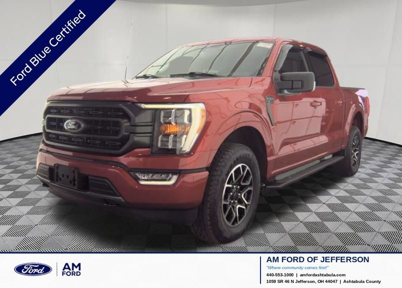 Used 2023 Ford F150 XLT w/ Equipment Group 302A High image 1