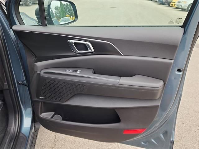 New 2026 Kia Carnival SX Prestige image 15