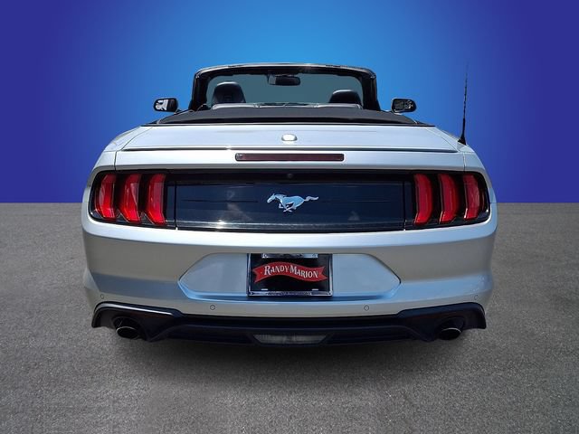 Used 2019 Ford Mustang Premium RWD image 4