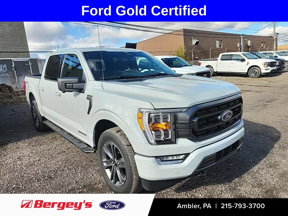Used 2023 Ford F150 XLT w/ Equipment Group 302A High