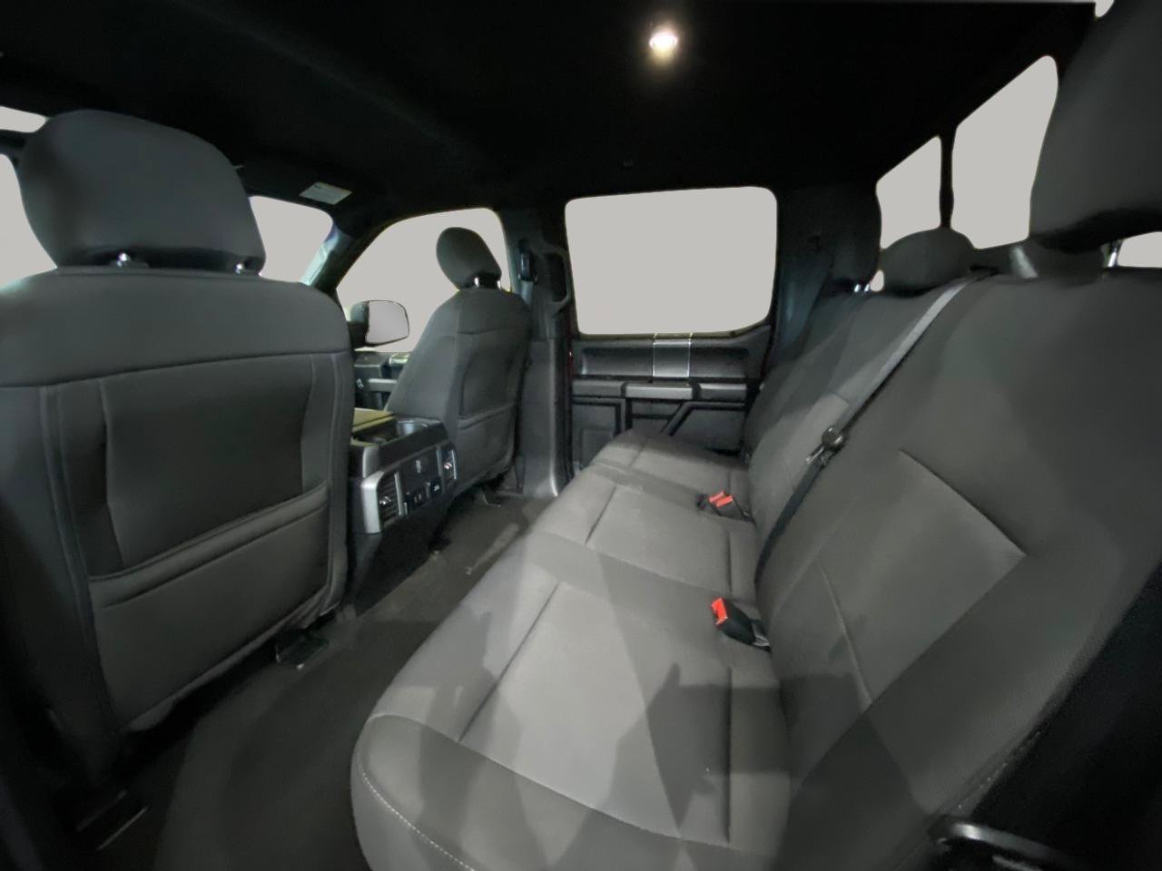 Used 2019 Ford F150 XLT w/ Equipment Group 302A Luxury AWD/4WD image 12