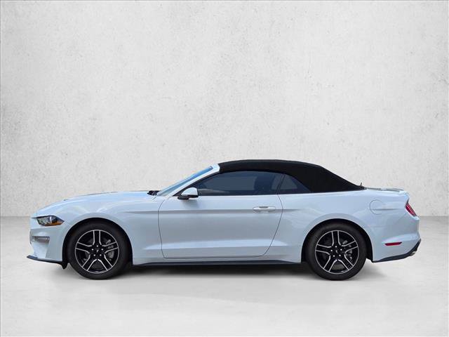 Used 2019 Ford Mustang Premium RWD image 8