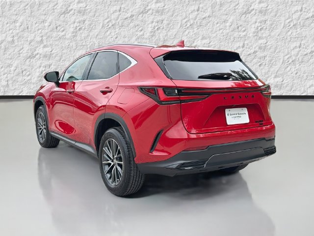 Used 2025 Lexus NX 350 AWD w/ Cold Area Package image 5