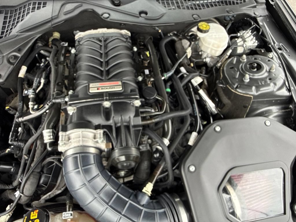 Used 2019 Ford Mustang GT Premium w/ Equipment Group 401A RWD image 48