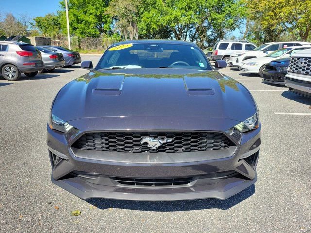 Used 2022 Ford Mustang EcoBoost image 15