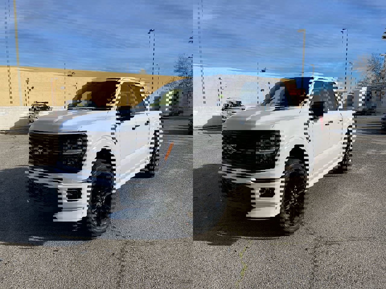 New 2025 Ford F150 STX w/ LOBO Package