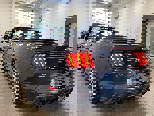 Certified 2022 Ford Mustang GT Premium w/ Equipment Group 401A image 6