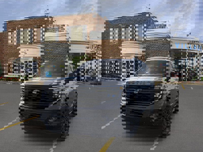 New 2026 Ford Expedition Platinum w/ Stealth Appearance Package image 2