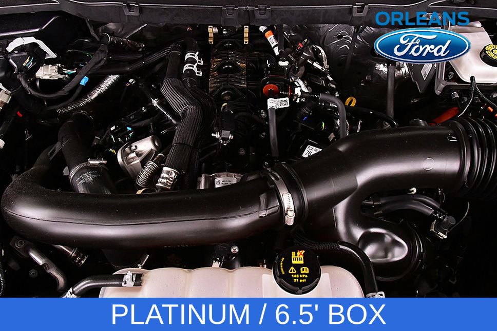 Used 2025 Ford F150 Platinum AWD/4WD image 35
