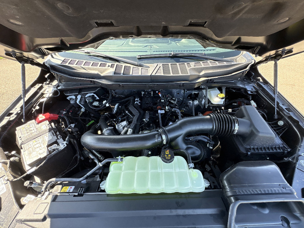 New 2026 Ford F150 XLT w/ Equipment Group 302A MID image 14