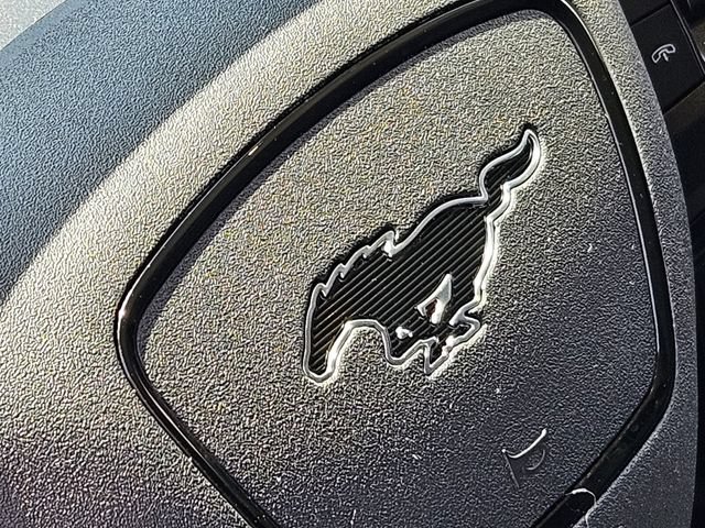 Used 2024 Ford Mustang Mach-E Premium AWD/4WD image 40